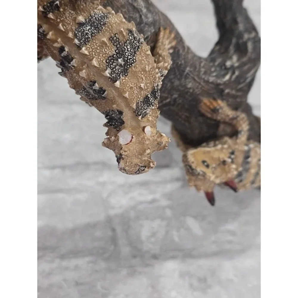 Reptile Cage Cccessories Texas Horned Lizards On‎ Tree Stump